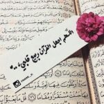 Ammara Ashraf