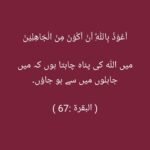 Anam Ijaz