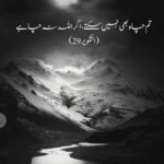 Barira Fareed